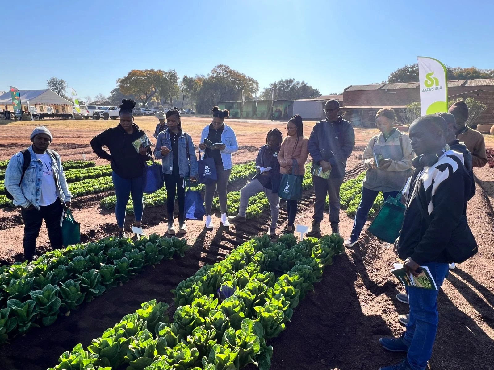 Trainees working among rows of crops in an open field