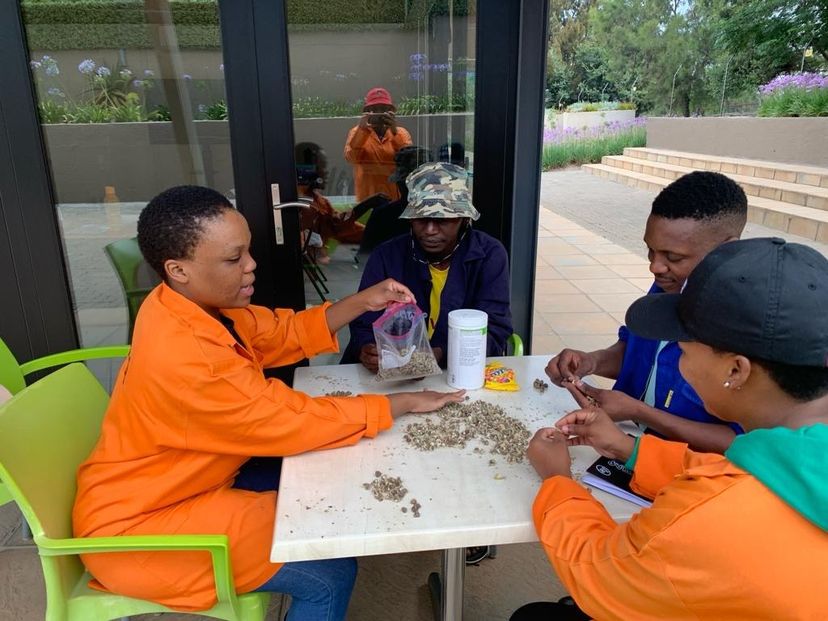 Trainees sorting seed by hand at a table outside the training centre